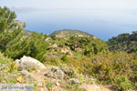 nature in the oosten of Karpathos | Greece  008 - Photo JustGreece.com