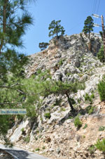 nature in the oosten of Karpathos | Greece  Photo 009 - Photo JustGreece.com