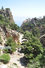 nature in the oosten of Karpathos | Greece  Photo 011 - Photo JustGreece.com