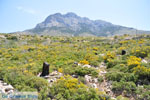 JustGreece.com Central Karpathos between Spoa and Mesochori | Greece  Photo 004 - Foto van JustGreece.com