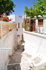 JustGreece.com Mesochori | Karpathos island | Dodecanese | Greece  Photo 009 - Foto van JustGreece.com