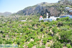 JustGreece.com Mesochori | Karpathos island | Dodecanese | Greece  Photo 021 - Foto van JustGreece.com