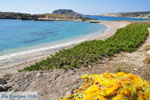 JustGreece.com Lefkos | Karpathos island | Dodecanese | Greece  Photo 018 - Foto van JustGreece.com