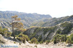 nature onderweg to Olympos | Island of Karpathos Photo 003 - Photo JustGreece.com