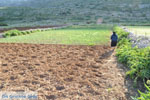 Avlonas near Olympos | Karpathos | Greece  Photo 6 - Photo JustGreece.com