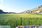 JustGreece.com Avlonas near Olympos | Karpathos | Greece  Photo 10 - Foto van JustGreece.com