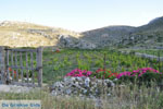 Avlonas near Olympos | Karpathos | Greece  Photo 17 - Photo JustGreece.com