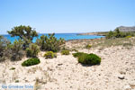 Diakofti beach | Beaches Karpathos | Greece  Photo 002 - Photo JustGreece.com