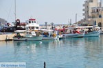 JustGreece.com Pigadia (Karpathos town) | Greece  | Photo 059 - Foto van JustGreece.com