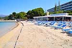 Lassi beach hotel Mediterranee Lassi - Cephalonia (Kefalonia) - Photo 15 - Photo JustGreece.com