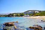 JustGreece.com Heerlijk Sandy beach near the Mediterranee hotel Lassi - Cephalonia (Kefalonia) - Photo 20 - Foto van JustGreece.com