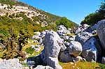 Beautiful landschap - Cephalonia (Kefalonia) - Photo 44 - Photo JustGreece.com