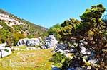 Beautiful landschap - Cephalonia (Kefalonia) - Photo 46 - Photo JustGreece.com