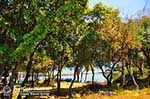 Karavomilos near Sami - Cephalonia (Kefalonia) - Photo 224 - Photo JustGreece.com