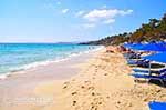 JustGreece.com Makris Gialos Lassi - Cephalonia (Kefalonia) - Photo 275 - Foto van JustGreece.com