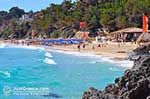 Makris Gialos-beach Lassi - Cephalonia (Kefalonia) - Photo 290 - Photo JustGreece.com