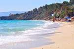 JustGreece.com Makris Gialos-beach Lassi - Cephalonia (Kefalonia) - Photo 293 - Foto van JustGreece.com