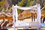 Makris Gialos-beach Lassi - Cephalonia (Kefalonia) - Photo 296 - Photo JustGreece.com