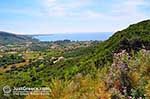 Katelios and the Katelios bay - Cephalonia (Kefalonia) - Photo 368 - Photo JustGreece.com