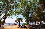 Katelios and the Katelios bay - Cephalonia (Kefalonia) - Photo 378 - Photo JustGreece.com