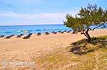 JustGreece.com Skala Kefalonia - Cephalonia (Kefalonia) - Photo 398 - Foto van JustGreece.com