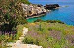 JustGreece.com Porto Skala Kefalonia - Cephalonia (Kefalonia) - Photo 421 - Foto van JustGreece.com