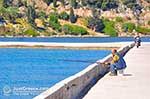 JustGreece.com Argostoli - Cephalonia (Kefalonia) - Photo 486 - Foto van JustGreece.com