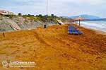 Xi Beach, the rode beach - Cephalonia (Kefalonia) - Photo 522 - Photo JustGreece.com