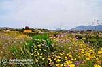 Near Lixouri on the schiereiland Paliki - Cephalonia (Kefalonia) - Photo 536 - Photo JustGreece.com