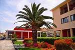 JustGreece.com Argostoli - Cephalonia (Kefalonia) - Photo 581 - Foto van JustGreece.com