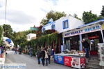 Zia | BergVillageKos | Greece Photo 13 - Photo JustGreece.com