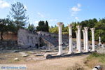 JustGreece.com The Asclepeion on Kos | Island of Kos | Greece Photo 8 - Foto van JustGreece.com