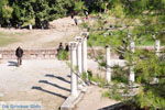 The Asclepeion on Kos | Island of Kos | Greece Photo 14 - Photo JustGreece.com