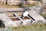 JustGreece.com The Asclepeion on Kos | Island of Kos | Greece Photo 18 - Foto van JustGreece.com