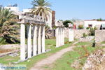 JustGreece.com Archaeological ruins Kos town | Island of Kos | Greece Photo 4 - Foto van JustGreece.com