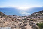 Camel Beach Kos | Island of Kos | Greece Photo 3 - Photo JustGreece.com