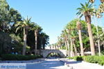 JustGreece.com Kos town (Kos-town) | Island of Kos | Greece Photo 9 - Foto van JustGreece.com