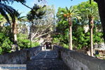Kos town (Kos-town) | Island of Kos | Greece Photo 12 - Photo JustGreece.com