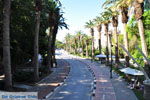 Kos town (Kos-town) | Island of Kos | Greece Photo 13 - Photo JustGreece.com