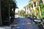Kos town (Kos-town) | Island of Kos | Greece Photo 14 - Photo JustGreece.com