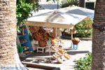 JustGreece.com Kos town (Kos-town) | Island of Kos | Greece Photo 15 - Foto van JustGreece.com