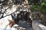 JustGreece.com Kos town (Kos-town) | Island of Kos | Greece Photo 18 - Foto van JustGreece.com