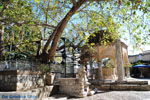 JustGreece.com Kos town (Kos-town) | Island of Kos | Greece Photo 24 - Foto van JustGreece.com