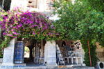 Kos town (Kos-town) | Island of Kos | Greece Photo 28 - Photo JustGreece.com