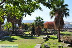 Kos town (Kos-town) | Island of Kos | Greece Photo 29 - Photo JustGreece.com