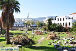 JustGreece.com Kos town (Kos-town) | Island of Kos | Greece Photo 30 - Foto van JustGreece.com