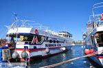 Kos town (Kos-town) | Island of Kos | Greece Photo 40 - Photo JustGreece.com