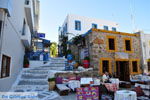 Kos town (Kos-town) | Island of Kos | Greece Photo 51 - Photo JustGreece.com