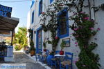 JustGreece.com Kos town (Kos-town) | Island of Kos | Greece Photo 54 - Foto van JustGreece.com