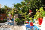 JustGreece.com Kos town (Kos-town) | Island of Kos | Greece Photo 55 - Foto van JustGreece.com